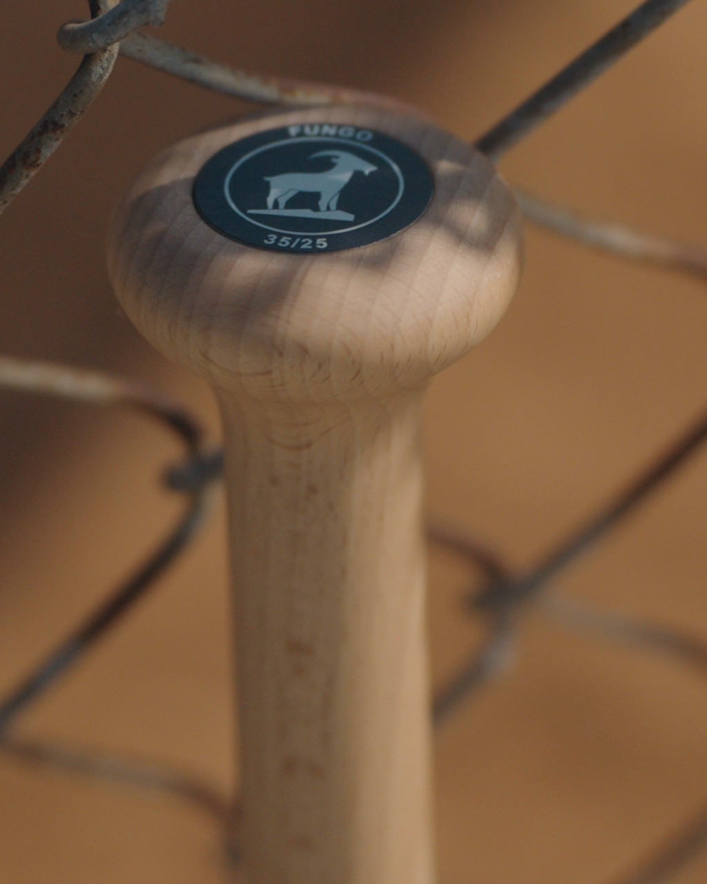 THE FUNGO