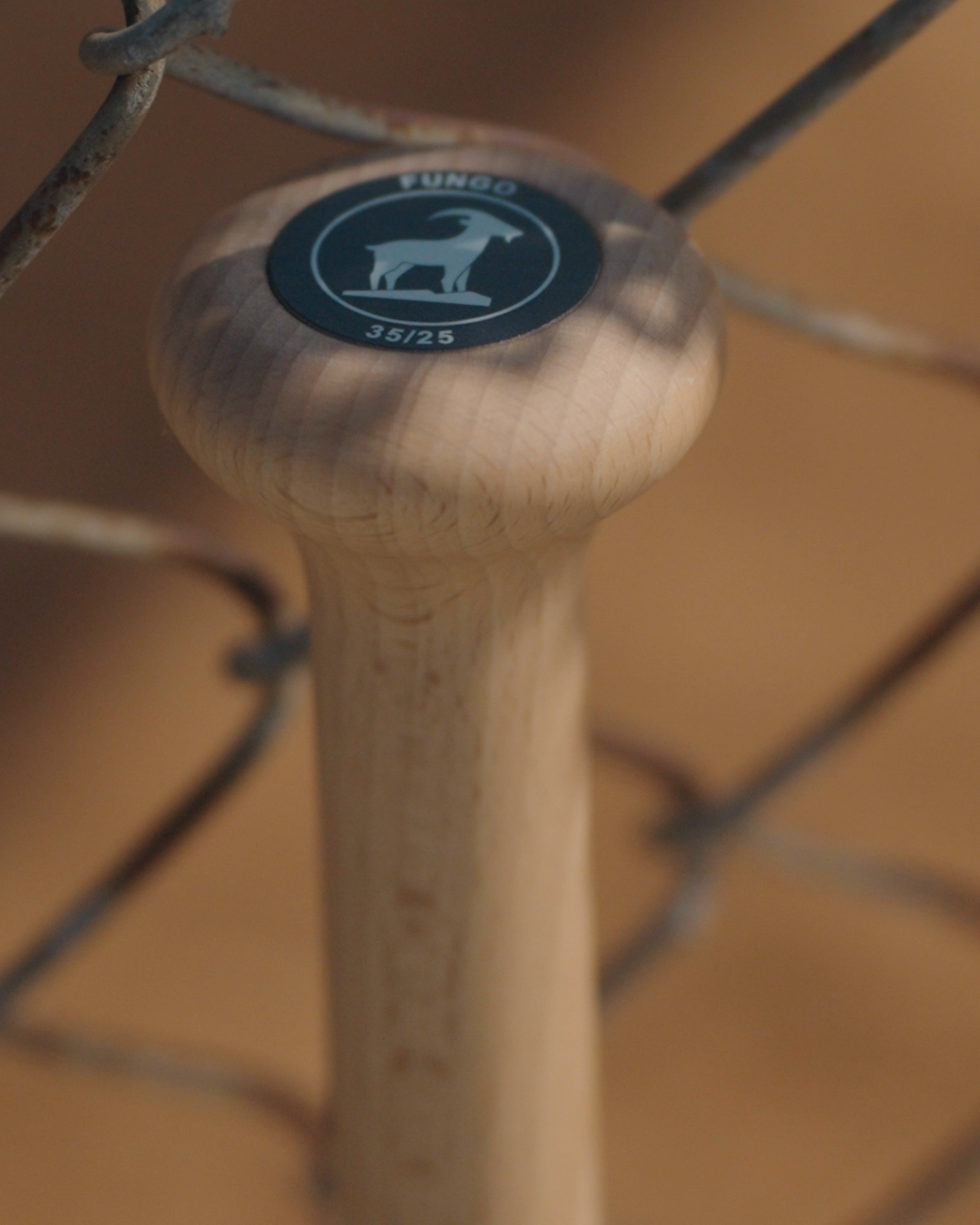 THE FUNGO
