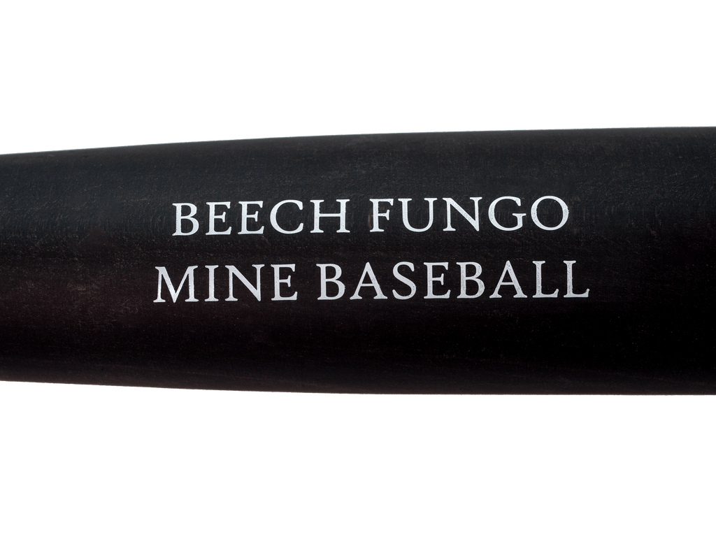 THE FUNGO