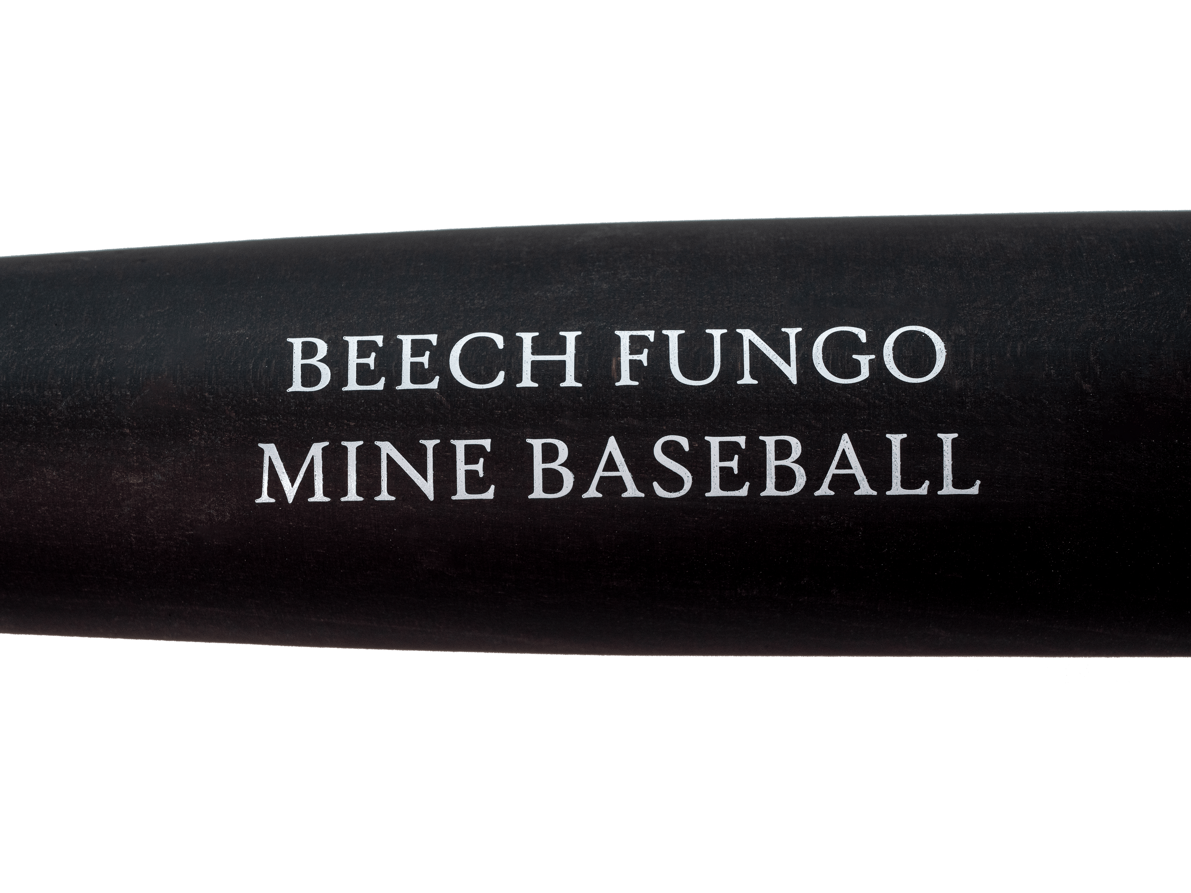 THE FUNGO